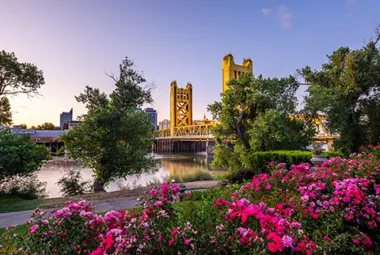 Picture of a bridge and flowers