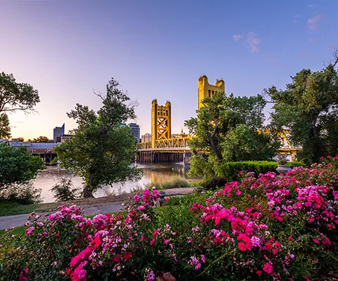 Picture of a bridge and flowers